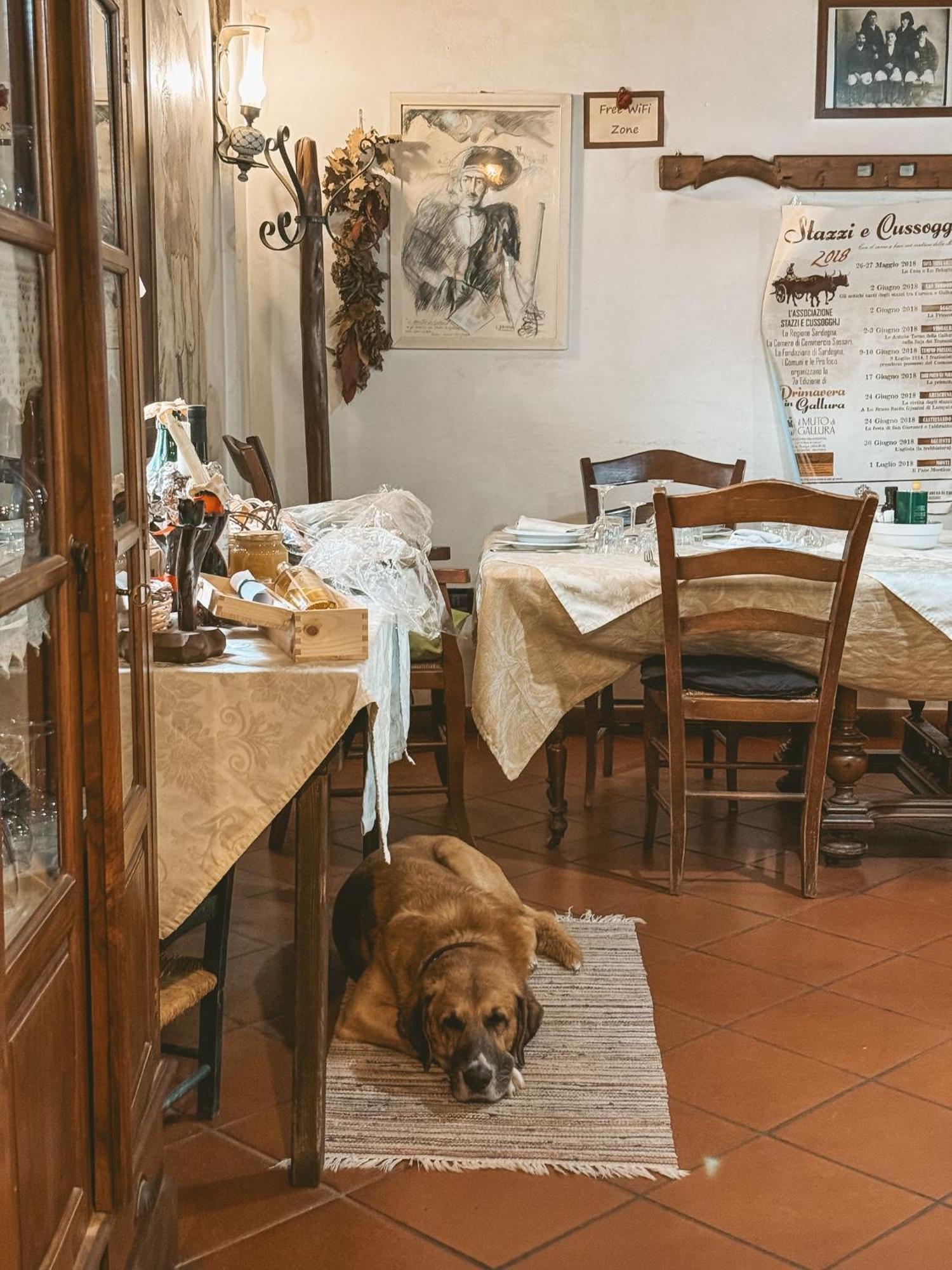 Agriturismo Il Muto Di Gallura Aggius Exteriér fotografie