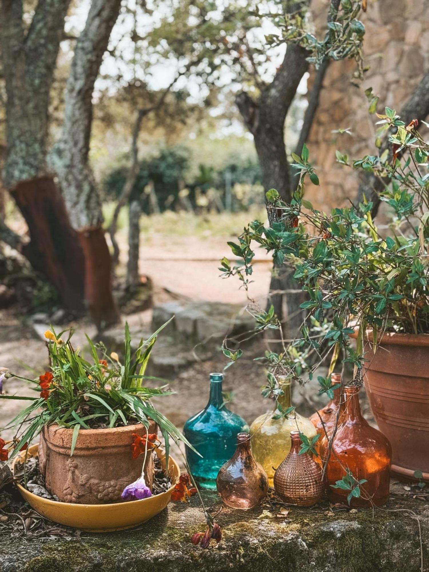 Agriturismo Il Muto Di Gallura Aggius Exteriér fotografie