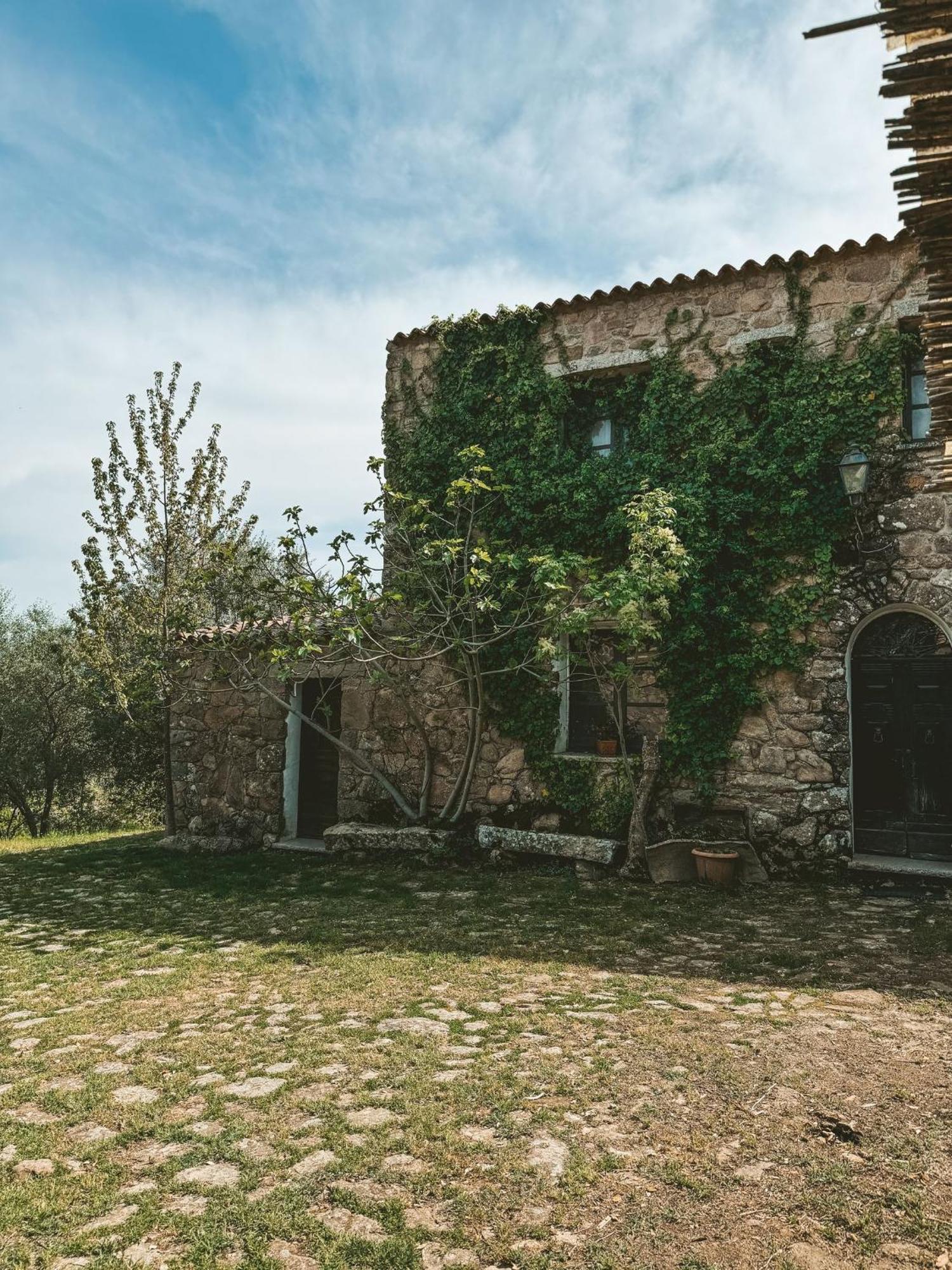 Agriturismo Il Muto Di Gallura Aggius Exteriér fotografie