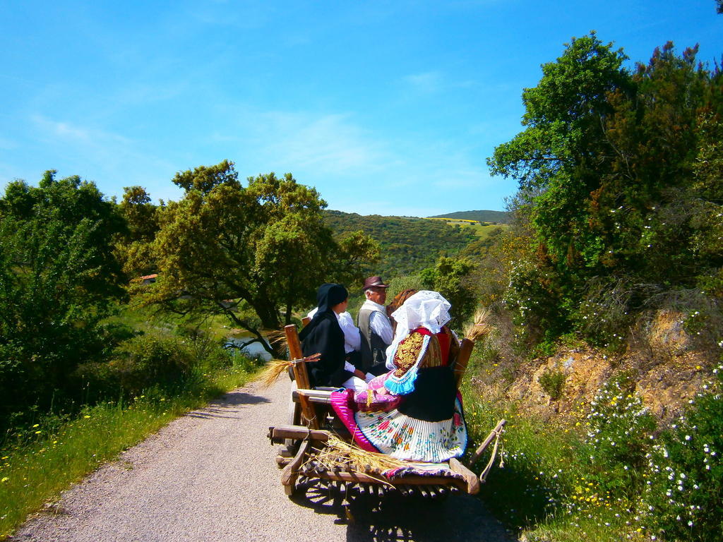 Agriturismo Il Muto Di Gallura Aggius Exteriér fotografie
