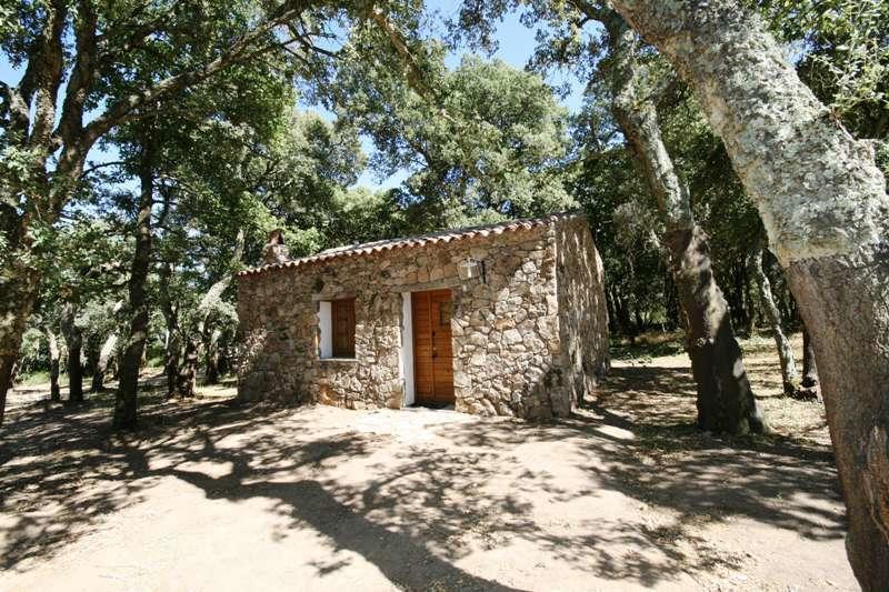 Agriturismo Il Muto Di Gallura Aggius Pokoj fotografie