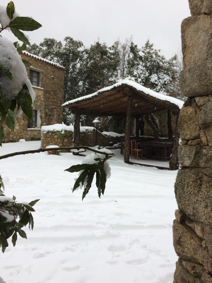 Agriturismo Il Muto Di Gallura Aggius Exteriér fotografie