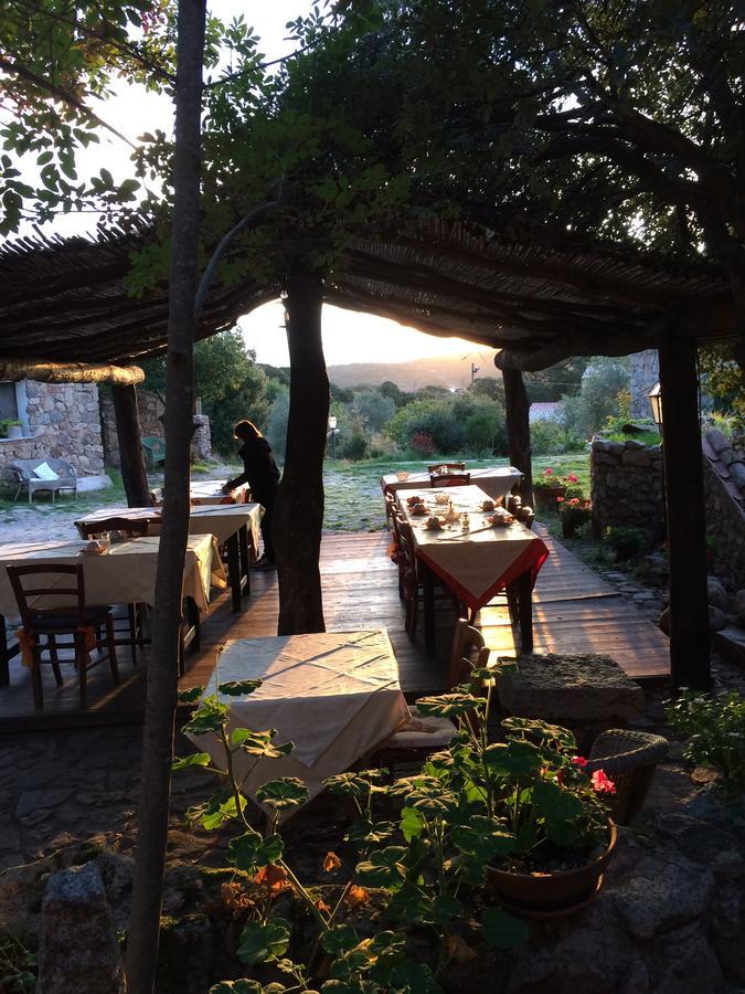 Agriturismo Il Muto Di Gallura Aggius Exteriér fotografie