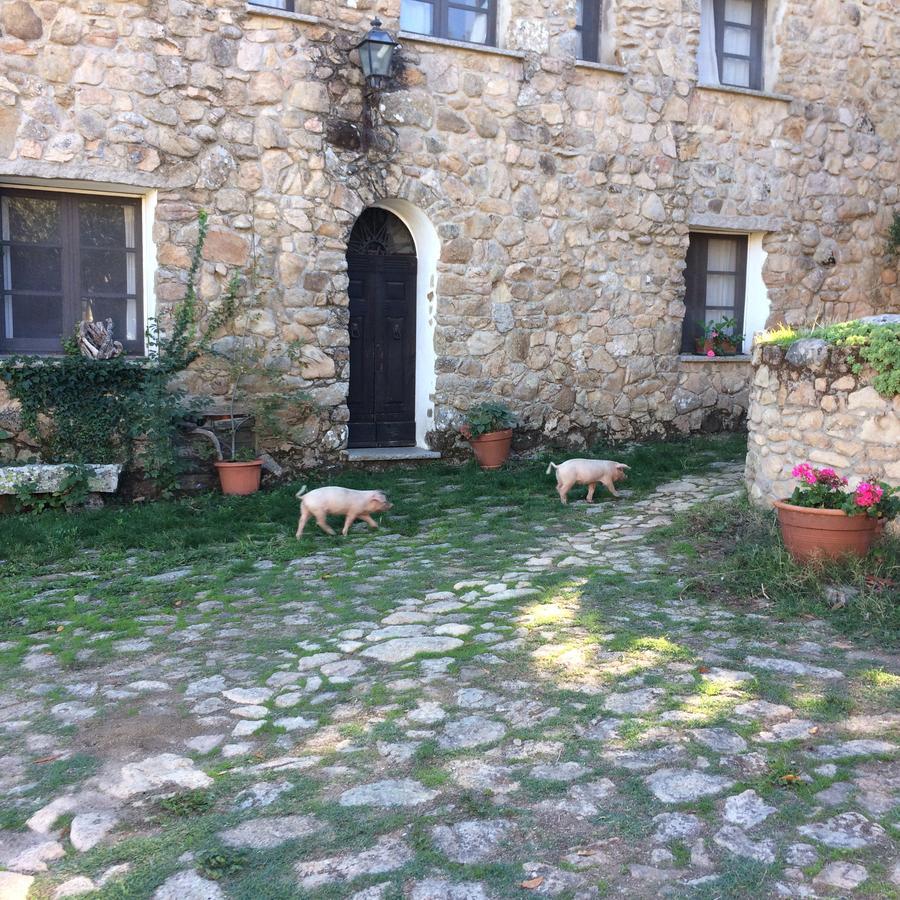 Agriturismo Il Muto Di Gallura Aggius Exteriér fotografie