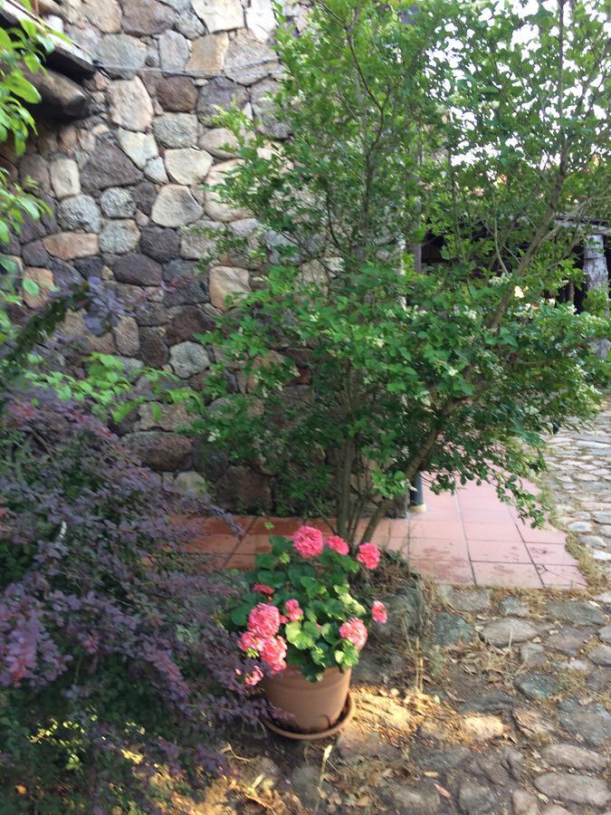 Agriturismo Il Muto Di Gallura Aggius Exteriér fotografie